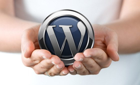 WordPress web design, development and speed optimization